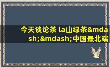 今天谈论茶 la山绿茶——中国最北端的绿茶